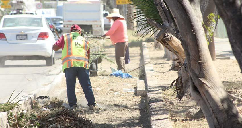 Servicios Públicos recolecta más de 230 toneladas de residuos