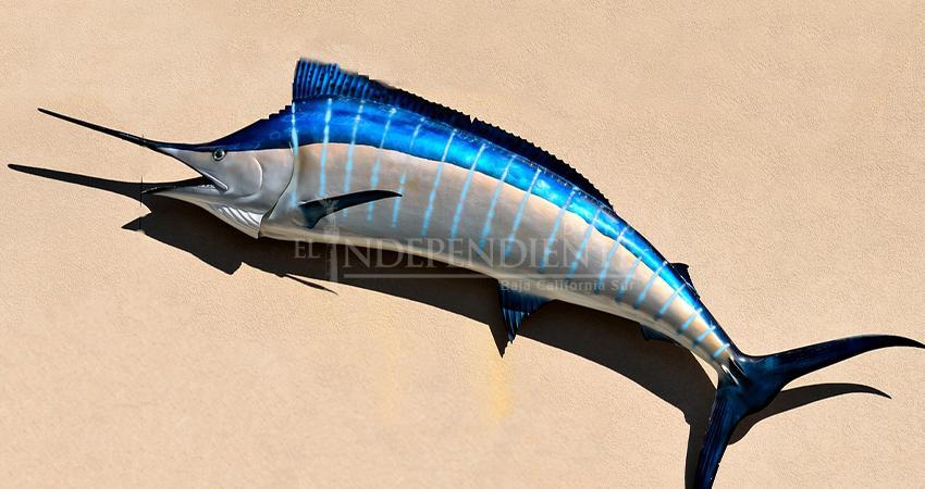 Promueven la "taxidermia" entre pesca deportiva de Los Cabos