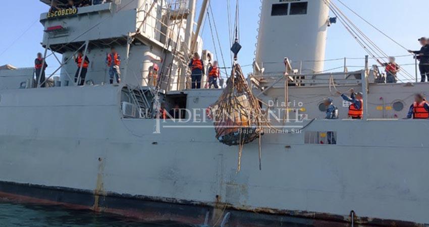 Recuperan contenedores de hidrocarburo que cayeron de una embarcación en Bahía Magdalena