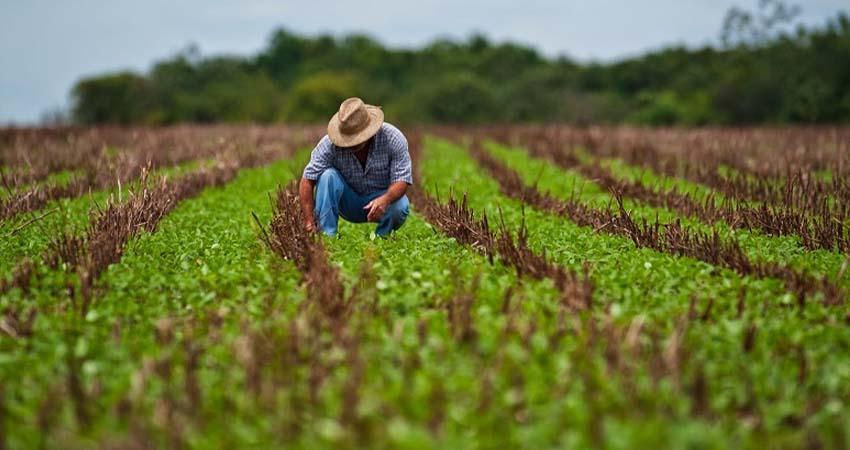 Agricultores mexicanos advierten "catástrofe alimentaria" por aranceles de EU