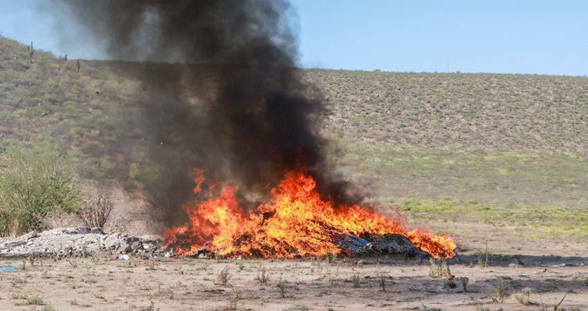Incineran drogas incautadas en operativos de la Mesa de Paz y Seguridad en BCS