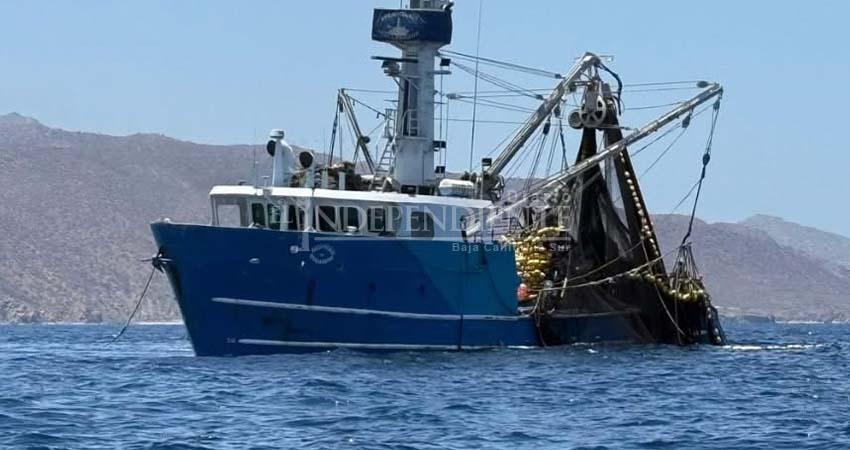 Llaman autoridades de Los Cabos al Congreso estatal, para la regulación de barcos de alto calado