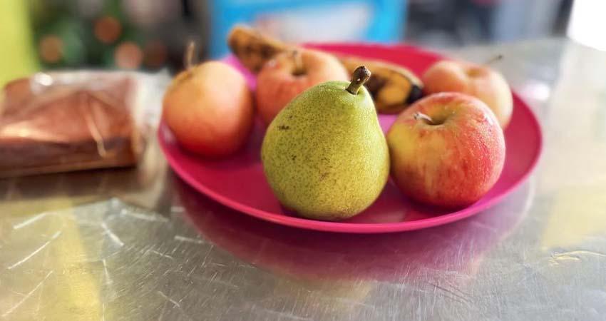 Recomiendan a la población alimentación balanceada para los estudiantes; ayudará a un mejor rendimiento escolar