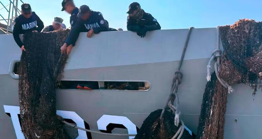 Retiran red para pesca ilegal de 100 metros en Espíritu Santo, Baja California Sur