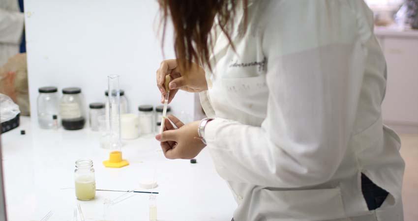 UABCS refuerza su presencia en el padrón nacional de investigadoras e investigadores