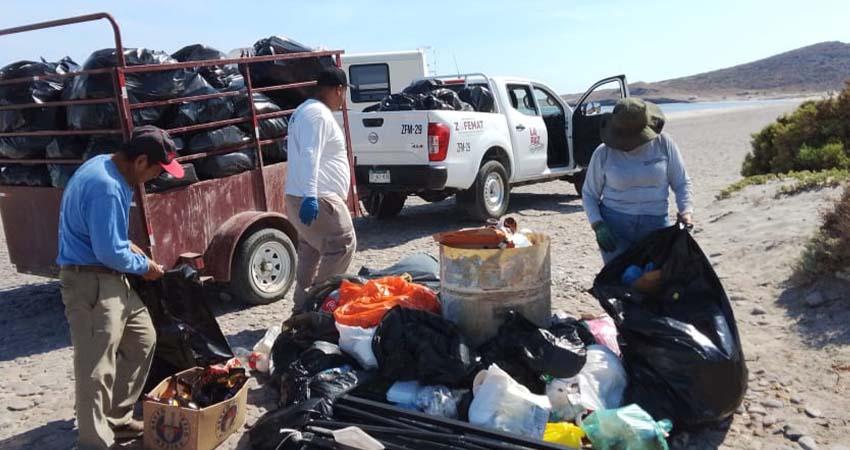 Recolecta Zofemat más de 7 toneladas de residuos en playas de La Paz