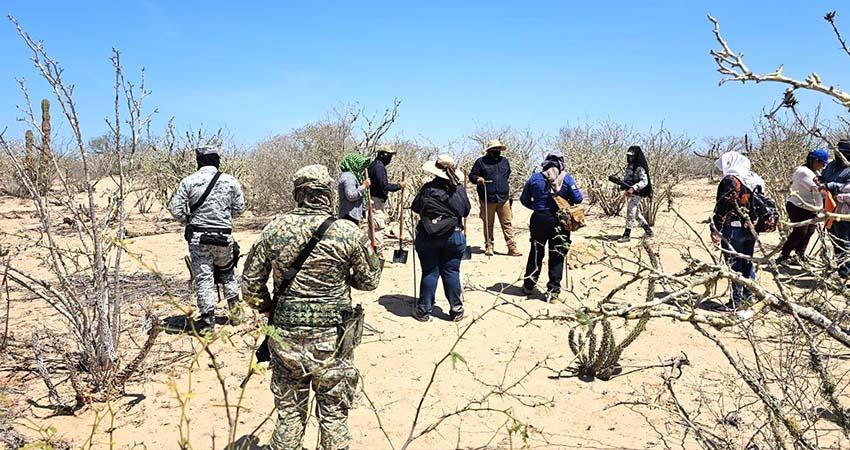 Llevan a cabo jornadas de búsqueda generalizada en La Paz y Comondú