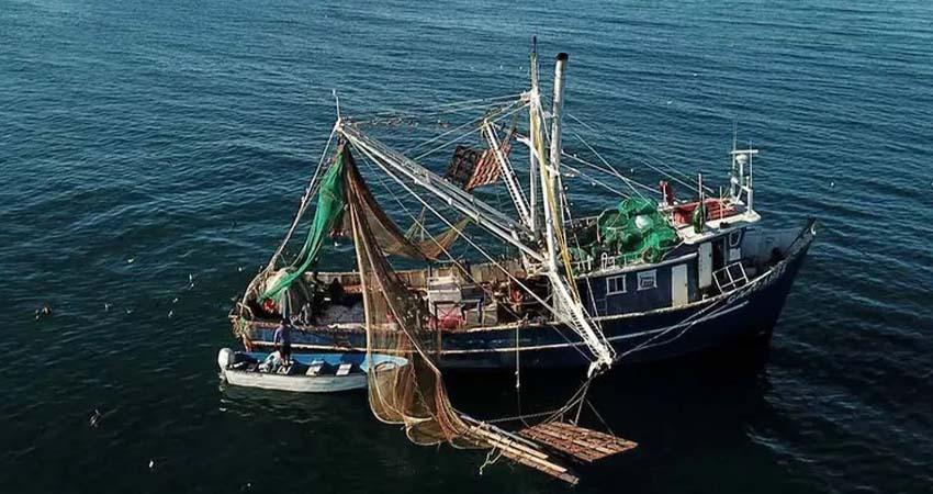 Impone EU embargo comercial contra 21 pesquerías mexicanas por muerte de especies