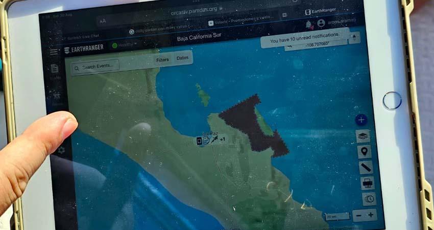 Realizan prueba exitosa del Sistema de Monitoreo para Avistamiento y Nado con Orcas en La Paz
