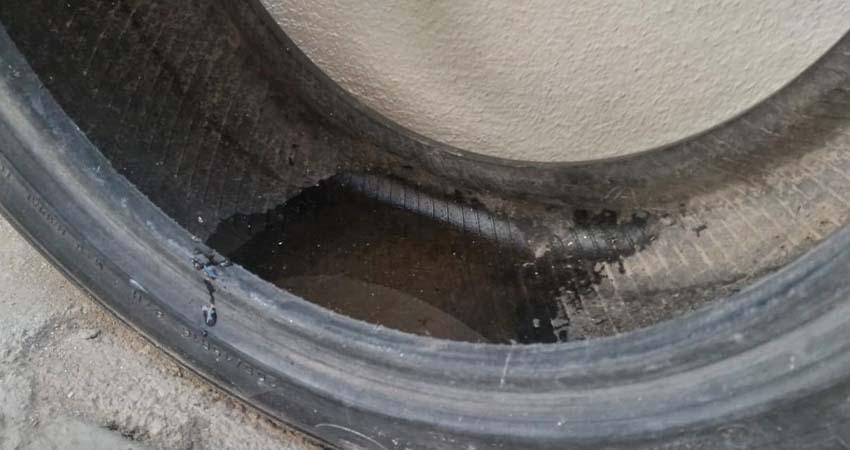 Tras las lluvias, recomiendan a la población y desinfección en casa para evitar alergias