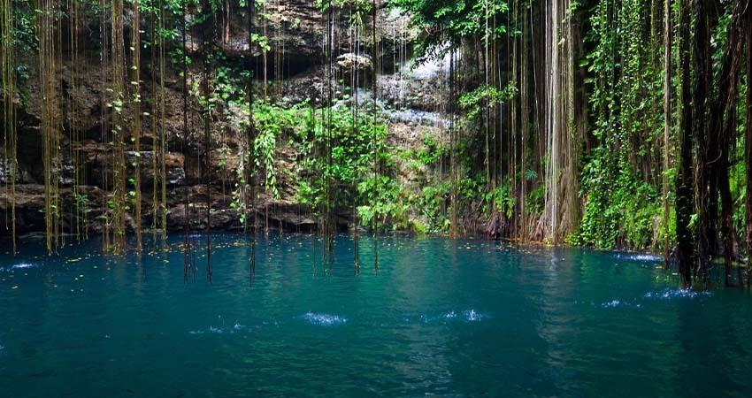 Presupuesto 2026 prevé monto más bajo en 21 años para áreas naturales protegidas: NOSSA