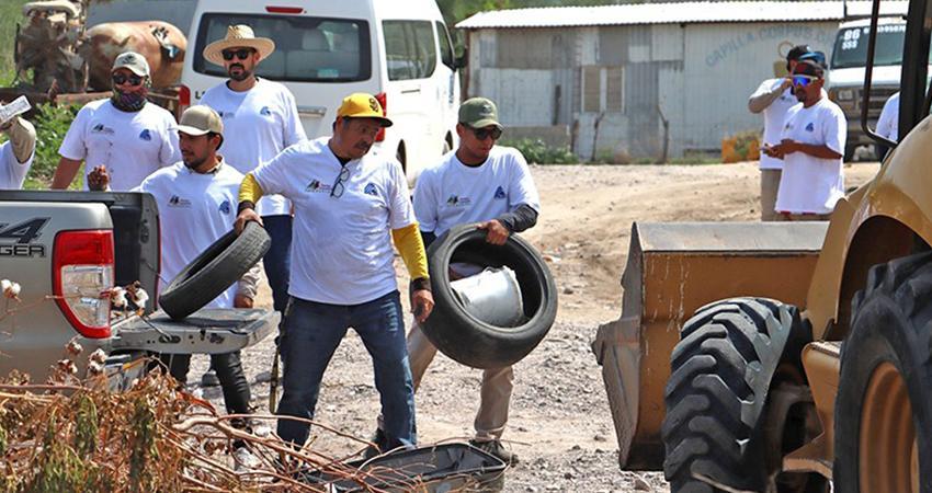 Realiza sector salud jornadas de descacharrización contra el dengue en La Paz