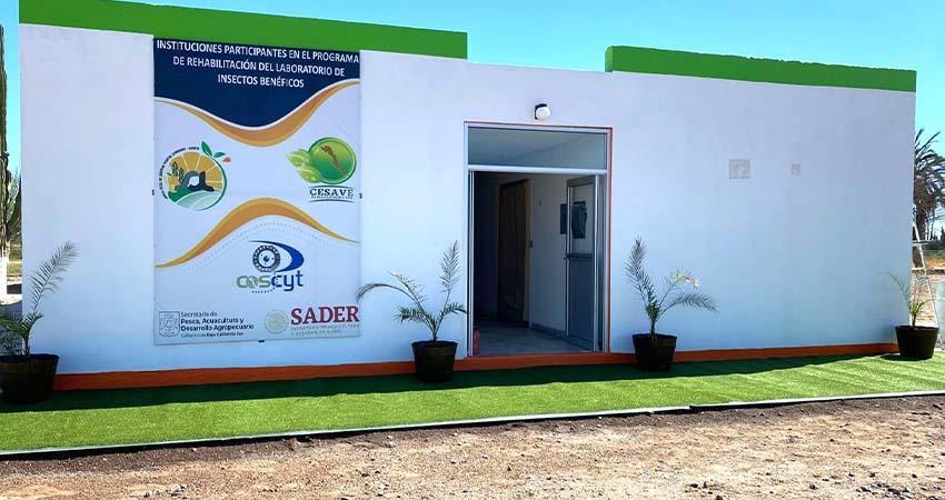 Autoridades de BCS firman convenio para reactivar laboratorio de insectos benéficos