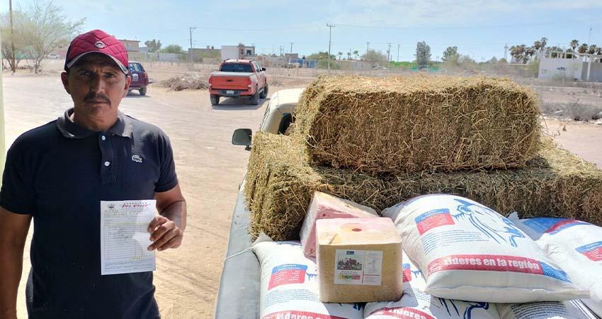 Gobierno de BCS fortalece al sector ganadero con recursos por más de 30 mdp frente a la sequía