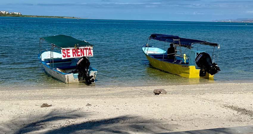 Avanza el programa de ordenamiento de servicios turísticos en el Malecón de La Paz