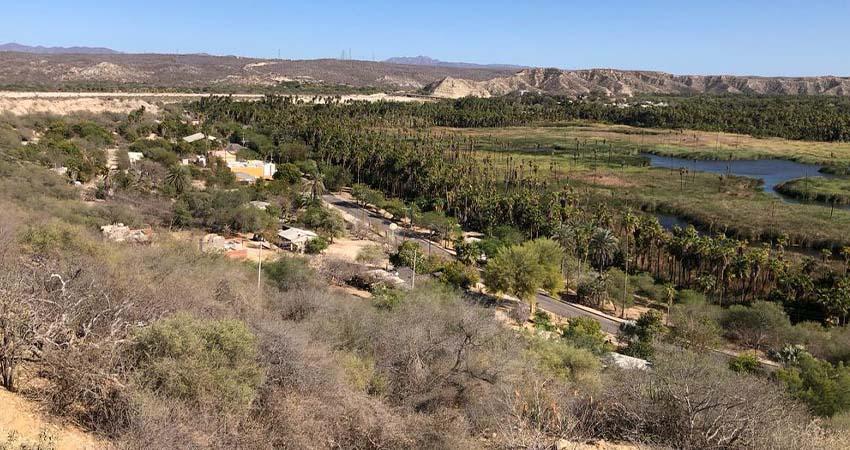 Investigadoras de la UABCS reciben beca de investigación por proyecto biocultural en el municipio de Mulegé