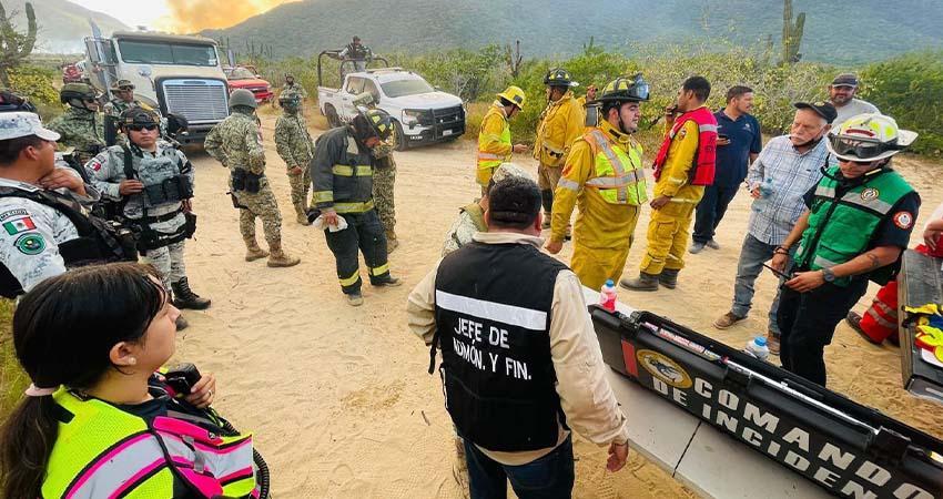 Atendieron bomberos de La Paz incendio en palmar de playa San Pedrito