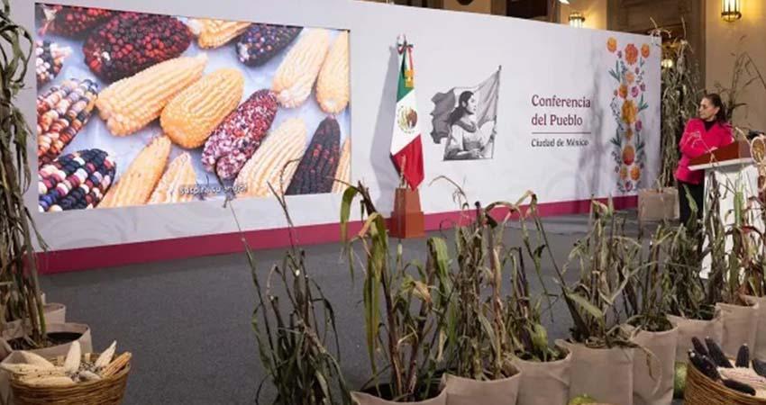 Gobierno lanza plan para proteger y fortalecer el cultivo del maíz nativo