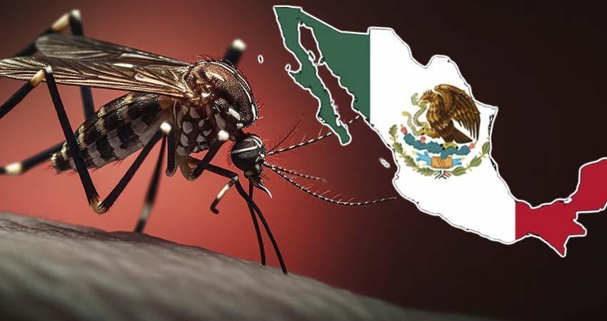 Casos de dengue en México rozan los 17 mil; hay dos estados sin contagios