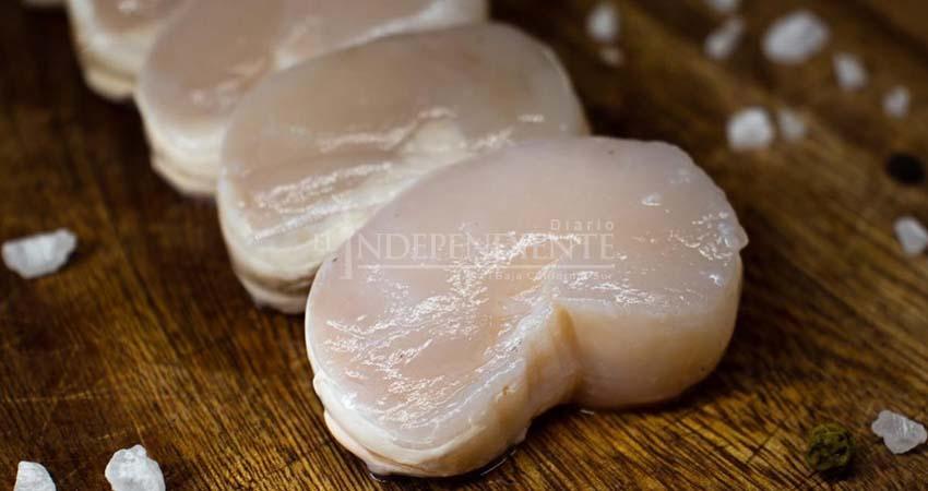 Comercializadora sudcaliforniana consigue aval ambiental para el 100% de sus productos del mar