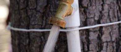 OOMSAPAS La Paz reporta 96% de cumplimiento en el tandeo semanal