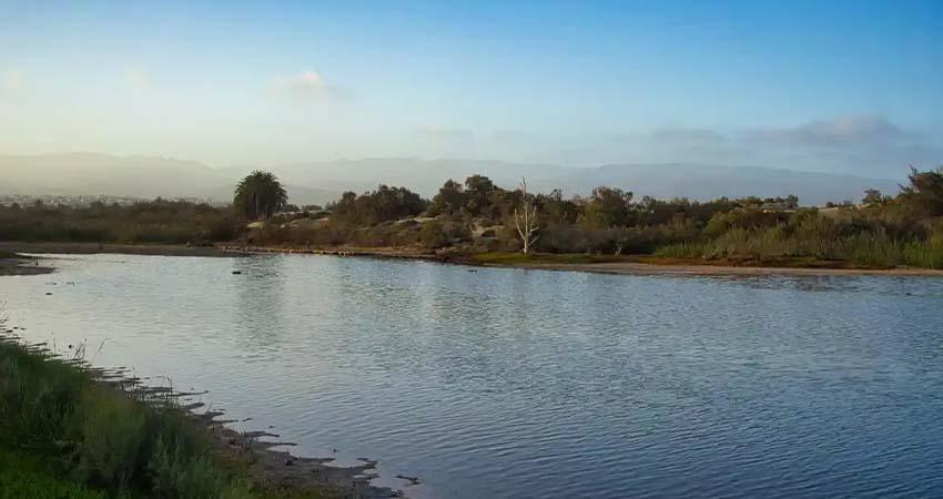 Entregar el agua de México a EU dañaría la economía de los estados fronterizos, alerta el Consejo Nacional Agropecuario