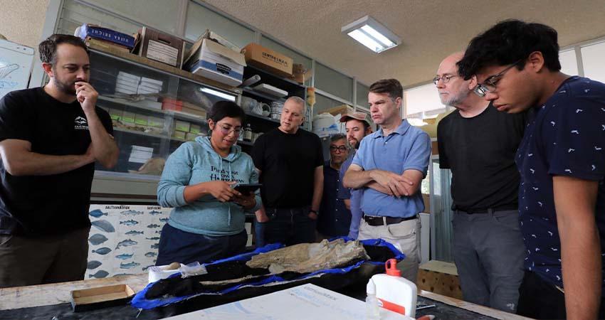 Científicos de Estados Unidos visitan la UABCS en el marco de investigación conjunta internacional sobre cetáceos del Oligoceno tardío