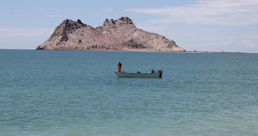 Impugnadas y anuladas: ¿qué está pasando con las sanciones emitidas por Conapesca en México?