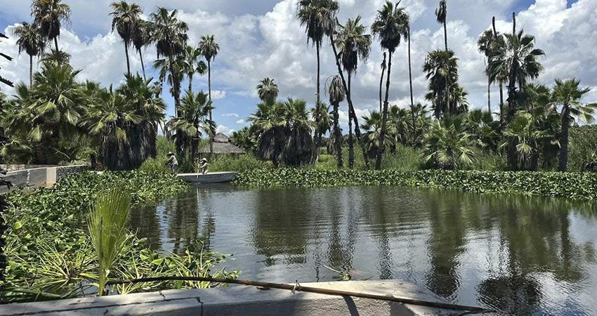 Llevan a cabo jornada de limpieza en el Estero de SJC