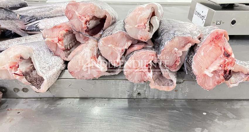 Pescadores del Alto Golfo urgen entrada en vigor de la NOM que regula la captura de Merluza