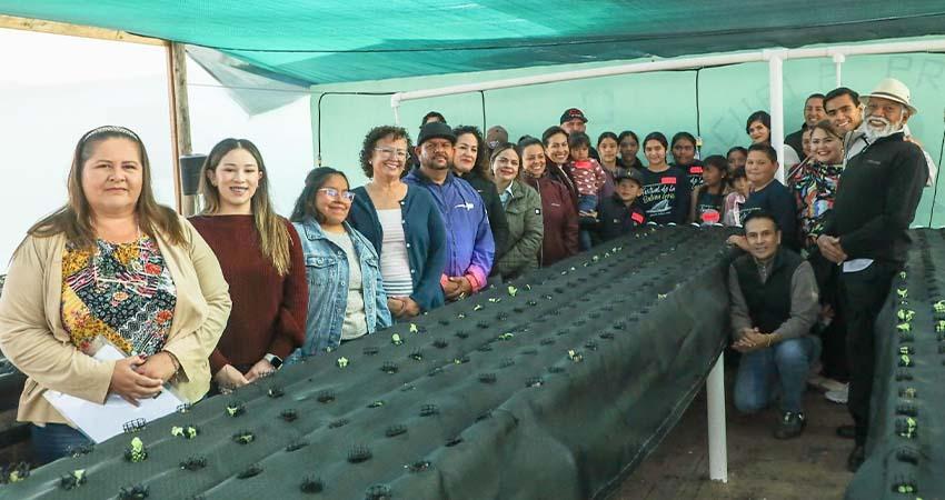 Entrega Milena Quiroga huerto comunitario en Puerto Chale para fortalecer la alimentación