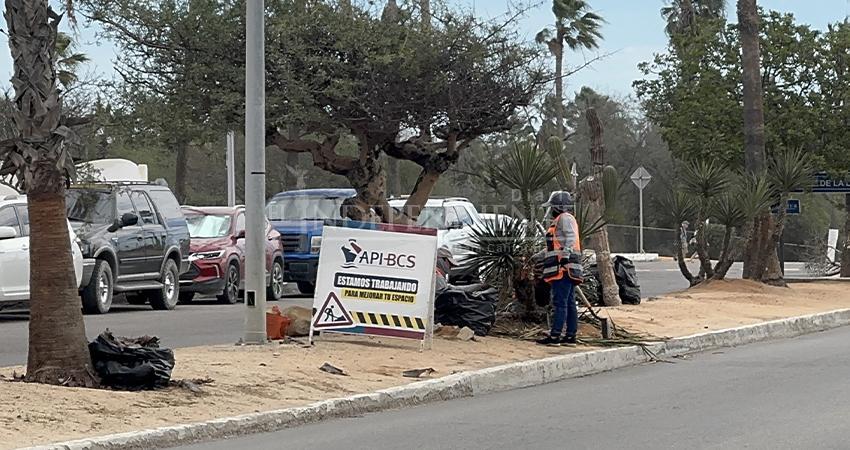 Administración Portuaria Integral de BCS "suple" labor de Fonatur en Los Cabos