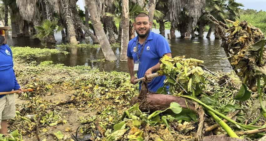 Realizan una nueva jornada de limpieza en el Estero de San José del Cabo