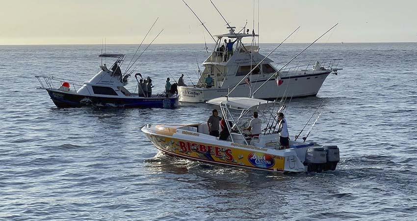 Llevarán a cabo un nuevo Torneo de Pesca Deportiva, “Bulnes” 2026 en CSL