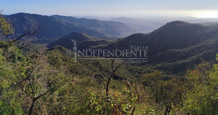 Congreso se integra al Consejo de la Sierra La Laguna; en contra diputado del PVEM de especies no nativas