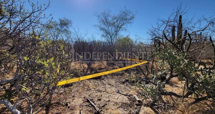 Localizan cuatro nuevas fosas clandestinas en El Cajoncito durante jornada de búsqueda en La Paz