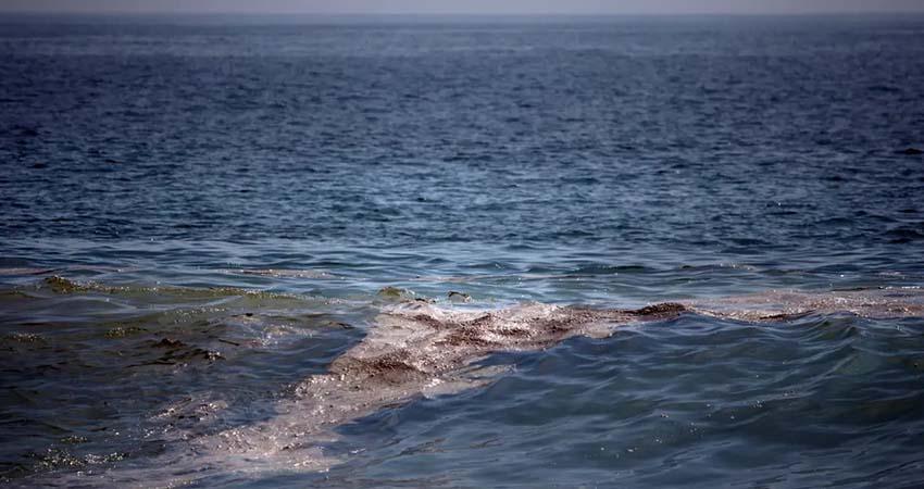 Greenpeace: mancha de crudo en el golfo de México tiene “impacto severo” en el ecosistema