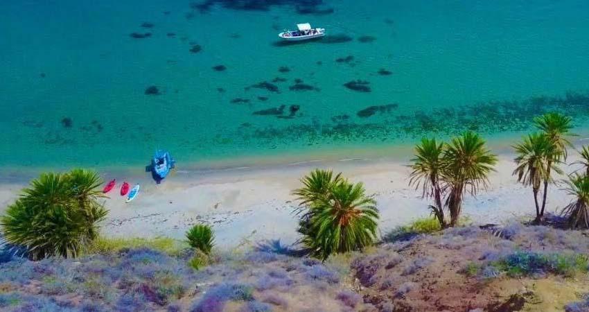 BCS nominada en seis categorías de “Lo Mejor de México 2026”