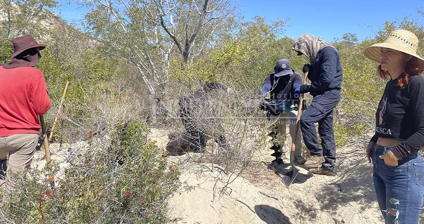 Colectivos localizan cinco osamentas y un cráneo humano en Los Cabos
