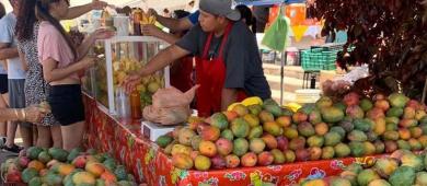Ayuntamiento de La Paz invita a celebrar el XVII Festival del Mango en Todos Santos