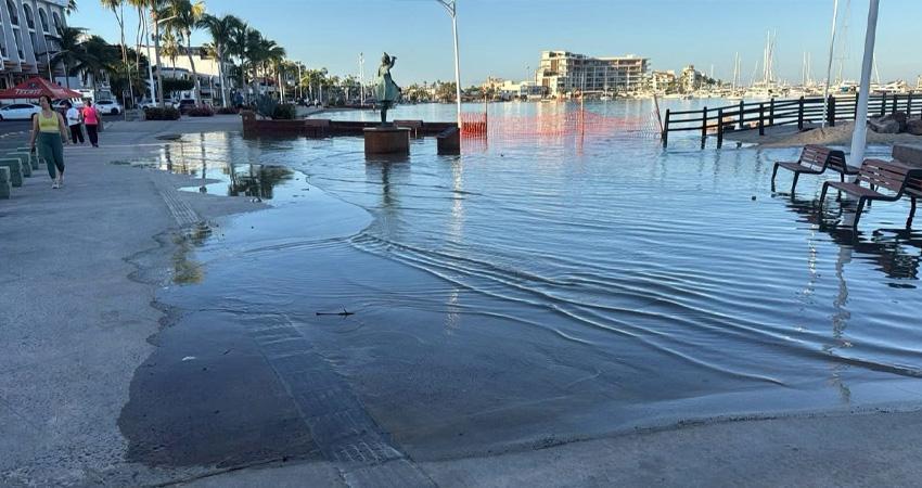 Semarnat deberá actualizar zona federal ante cambios del nivel del mar: Milena Quiroga