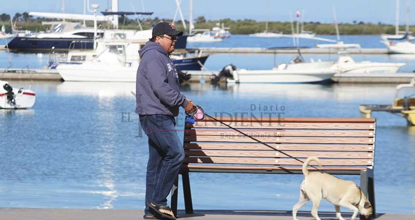 Sin problemas continua el paseo de perros en el malecón de La Paz