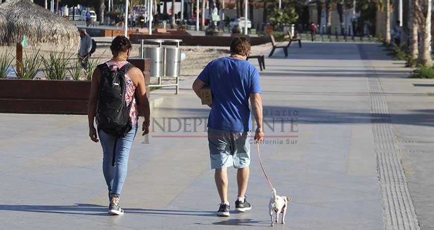 Sin problemas continua el paseo de perros en el malecón de La Paz