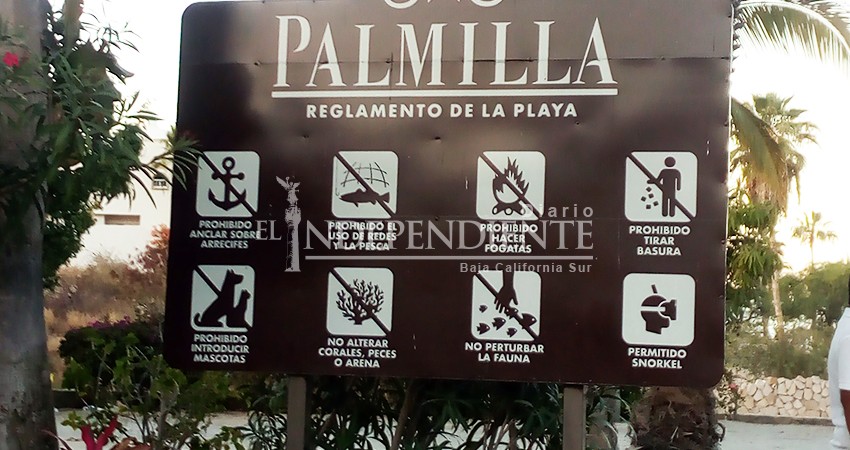 Patronato de Palmilla denuncia a Profepa la pluma de acceso a playa 