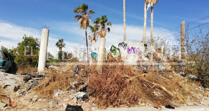 Habitan malandros terrenos y casas abandonadas de la colonia Matamoros de CSL 