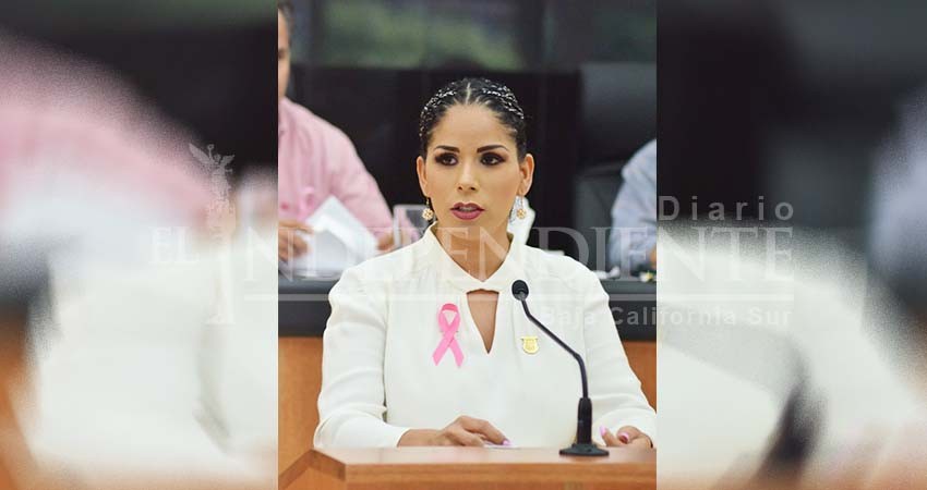 Cobro ilegal del gobierno de BCS en licencias y placas debe parar: Perla Flores