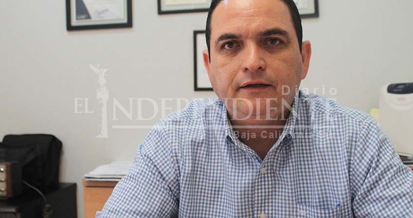 Productores locales, sin estrategia contra aranceles “trumpistas”: Canaco