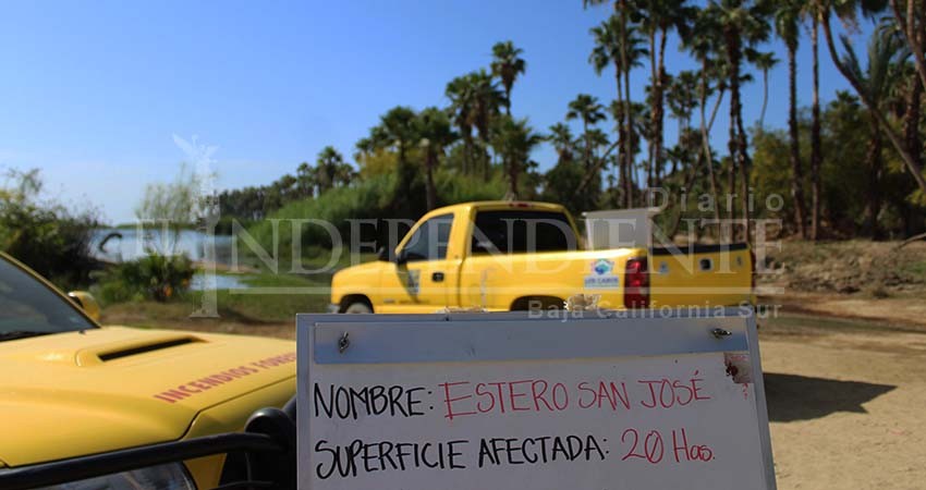 Proyecta SP instalación de cámaras térmicas en el estero para su vigilancia tecnológica 