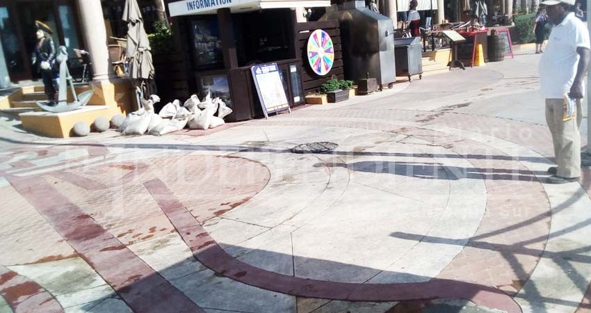  Controlan derrames de aguas negras en marina turística de CSL