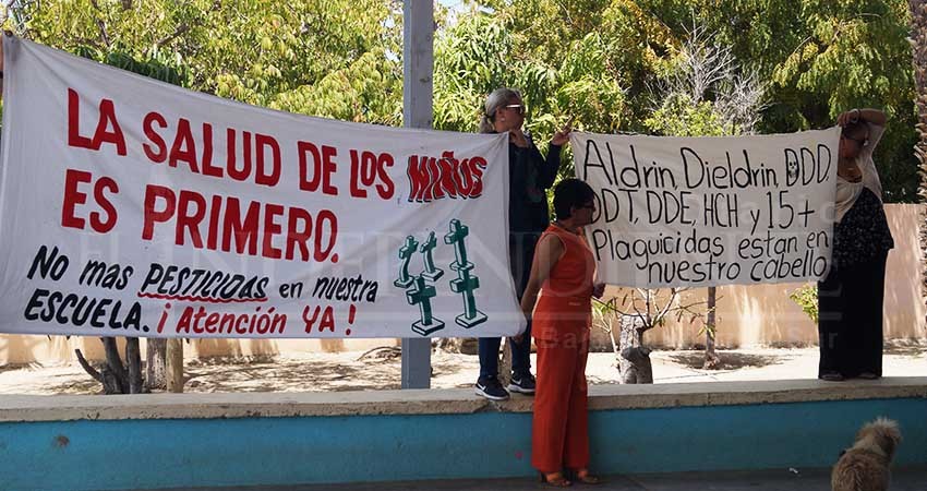 Ignoran autoridades a padres de familia de escuela “fumigada” con plaguicidas